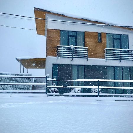 Cottage Marta Sadgeri Borjomi Eksteriør billede